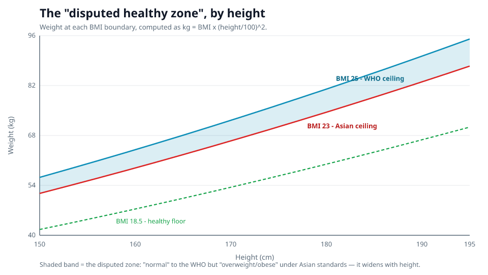 Gráfico de peso frente a estatura. El piso saludable en BMI 18.5 y los techos en BMI 23 y BMI 25 suben todos con la estatura. La banda sombreada entre las líneas BMI-23 y BMI-25 es la zona en disputa: saludable según el estándar internacional de la WHO, pero sobrepeso u obesidad según los estándares asiáticos, y se ensancha desde unos 5 kg a 170 cm hasta más de 8 kg a 195 cm.